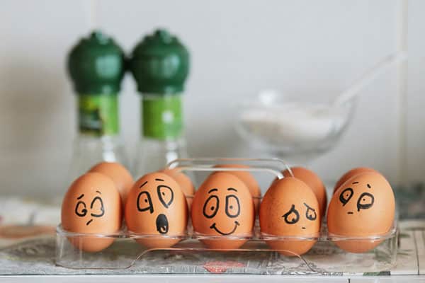 Egg family